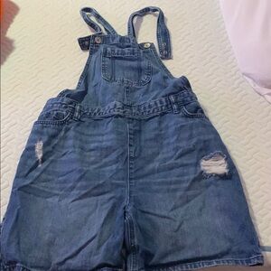 The Children's Place Blue Denim Overalls